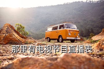 那里有電視節(jié)目直播表