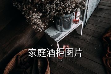 家庭酒柜圖片