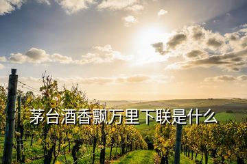 茅臺(tái)酒香飄萬里下聯(lián)是什么