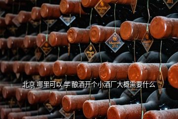 北京 哪里可以 學(xué) 釀酒開個(gè)小酒廠大概需要什么