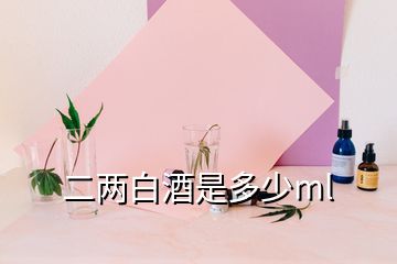 二兩白酒是多少ml