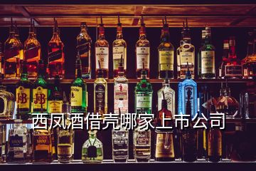 西鳳酒借殼哪家上市公司