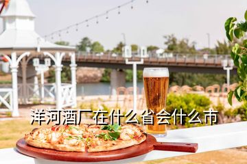 洋河酒廠在什么省會(huì)什么市