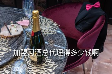 加盟習酒總代理得多少錢啊