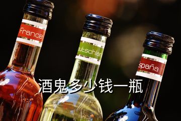 酒鬼多少錢(qián)一瓶