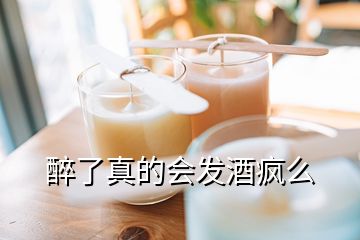 醉了真的會(huì)發(fā)酒瘋么