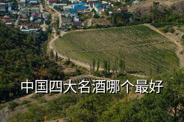 中國(guó)四大名酒哪個(gè)最好