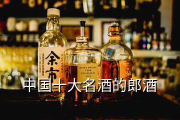 中國(guó)十大名酒的郎酒