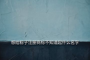 想給粽子注冊(cè)商標(biāo)不知道起什么名字