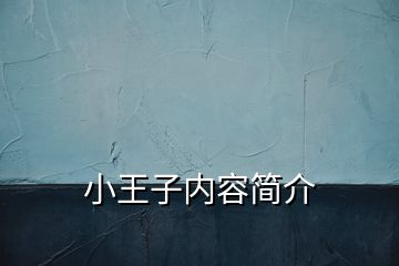 小王子內(nèi)容簡介