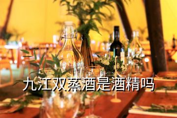 九江雙蒸酒是酒精嗎