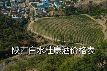 陜西白水杜康酒價(jià)格表