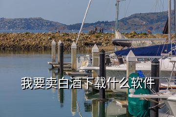 我要賣(mài)白酒下載什么軟件