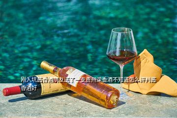 剛?cè)肟俞u香酒朋友送了一支貴州溁盉酒不知道怎么評(píng)判醬香酒好