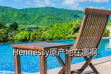 Hennessy原產(chǎn)地在哪啊