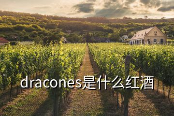 dracones是什么紅酒