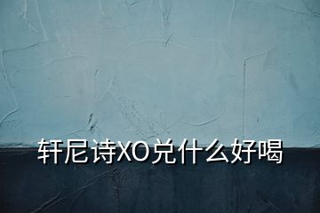 軒尼詩XO兌什么好喝