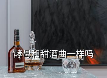 酵母和甜酒曲一樣嗎