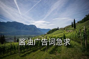 醬油廣告詞急求