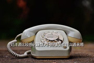 對(duì)洋酒比較感興趣想入門應(yīng)該買些什么酒來喝