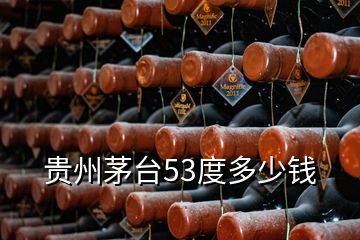 貴州茅臺(tái)53度多少錢