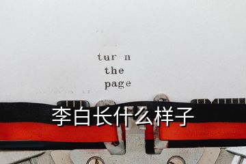 李白長(zhǎng)什么樣子