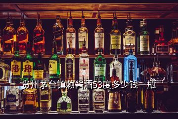 貴州茅臺鎮(zhèn)賴醬酒53度多少錢一瓶