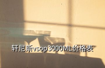 軒尼斯vsop3000ML價格表