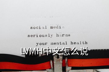 LVMH中文怎么說(shuō)