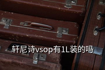 軒尼詩(shī)vsop有1L裝的嗎