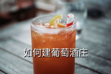 如何建葡萄酒莊