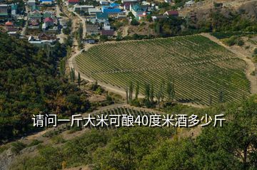 請問一斤大米可釀40度米酒多少斤