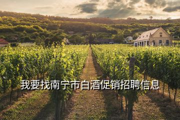 我要找南寧市白酒促銷招聘信息