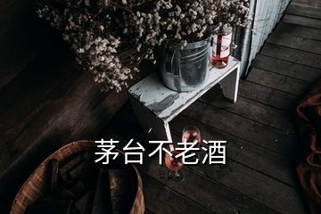 茅臺(tái)不老酒