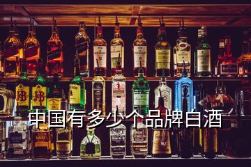 中國有多少個(gè)品牌白酒