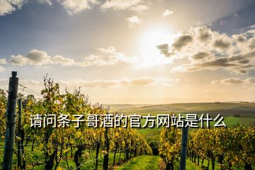 請問條子哥酒的官方網(wǎng)站是什么