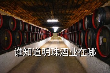 誰知道明珠酒業(yè)在哪