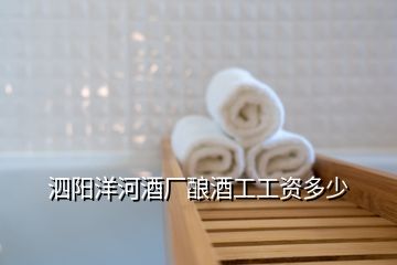 泗陽(yáng)洋河酒廠釀酒工工資多少