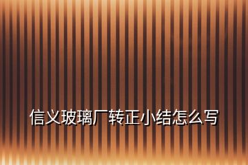 信義玻璃廠轉(zhuǎn)正小結(jié)怎么寫