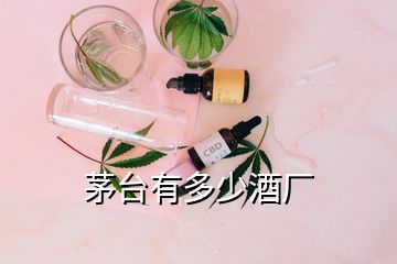 茅臺有多少酒廠