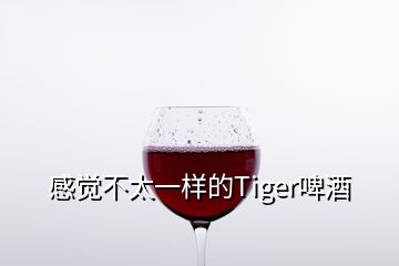 感覺不太一樣的Tiger啤酒