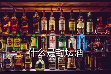 什么是封壇酒