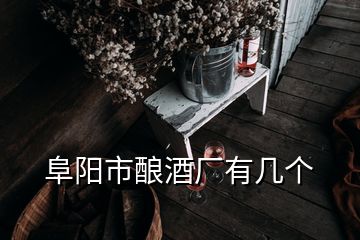 阜陽市釀酒廠有幾個(gè)