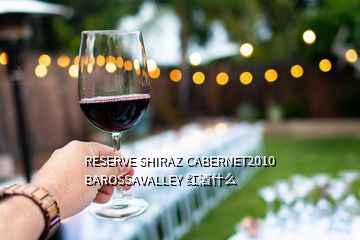 RESERVE SHIRAZ CABERNET2010 BAROSSAVALLEY 紅酒什么