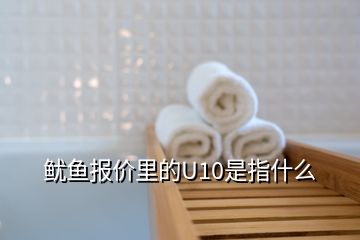 魷魚報價里的U10是指什么