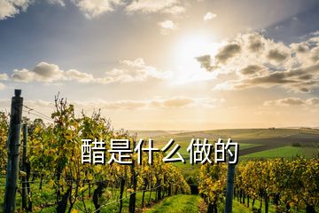 醋是什么做的