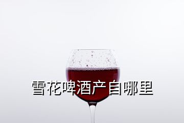 雪花啤酒產(chǎn)自哪里