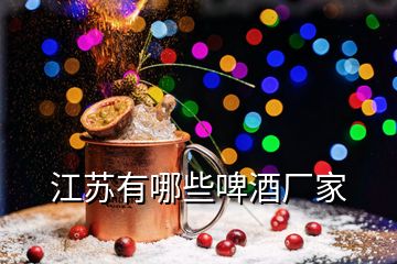 江蘇有哪些啤酒廠家