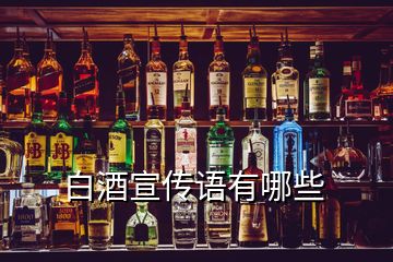 白酒宣傳語(yǔ)有哪些