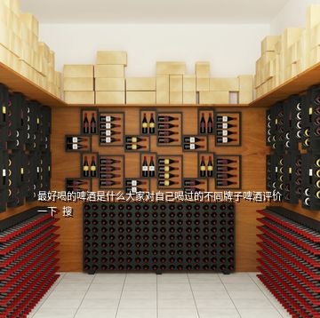 最好喝的啤酒是什么大家對自己喝過的不同牌子啤酒評價一下  搜